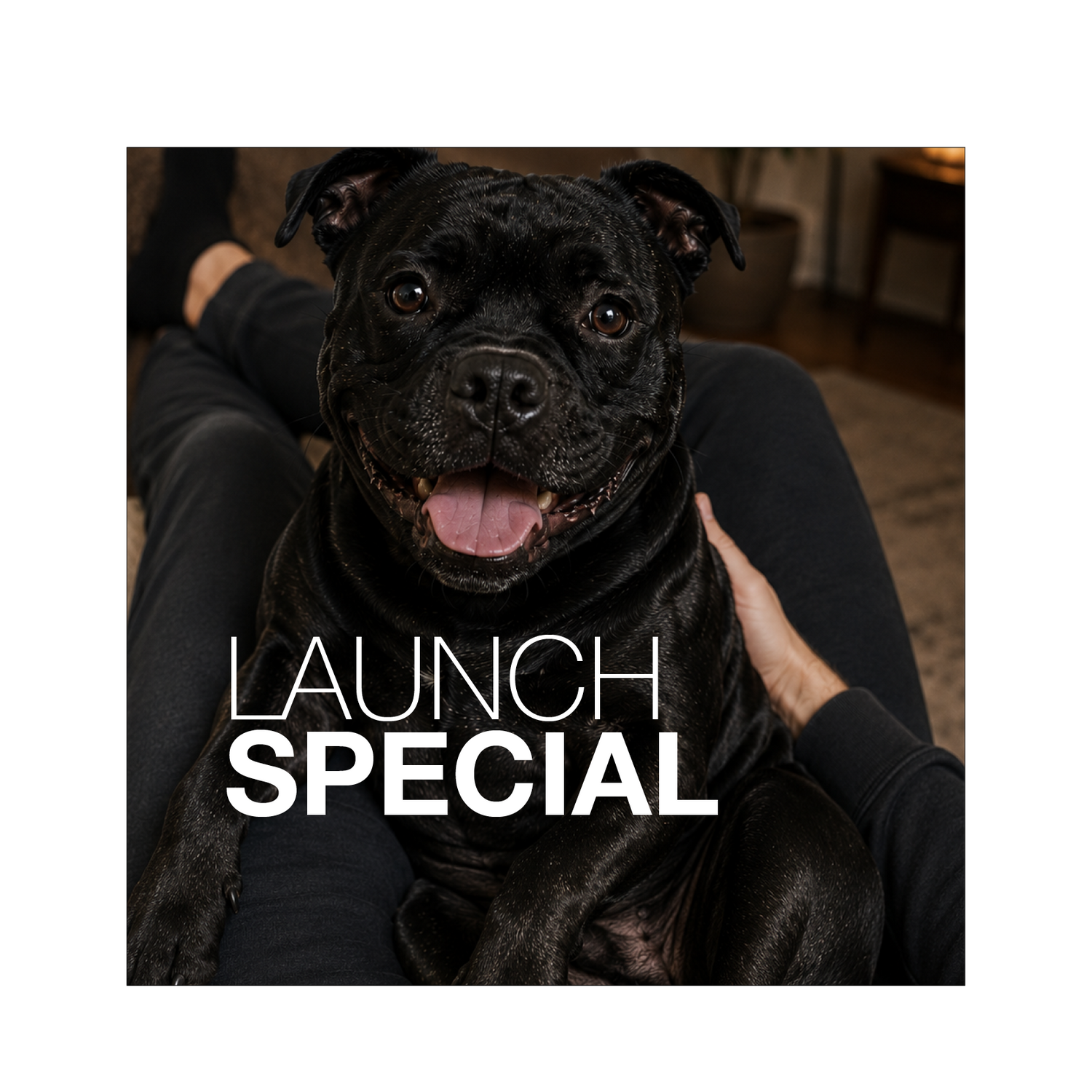 Tahi Launch Special