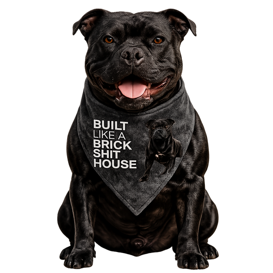 Built Like A Brick Shithouse Dog Bandana
