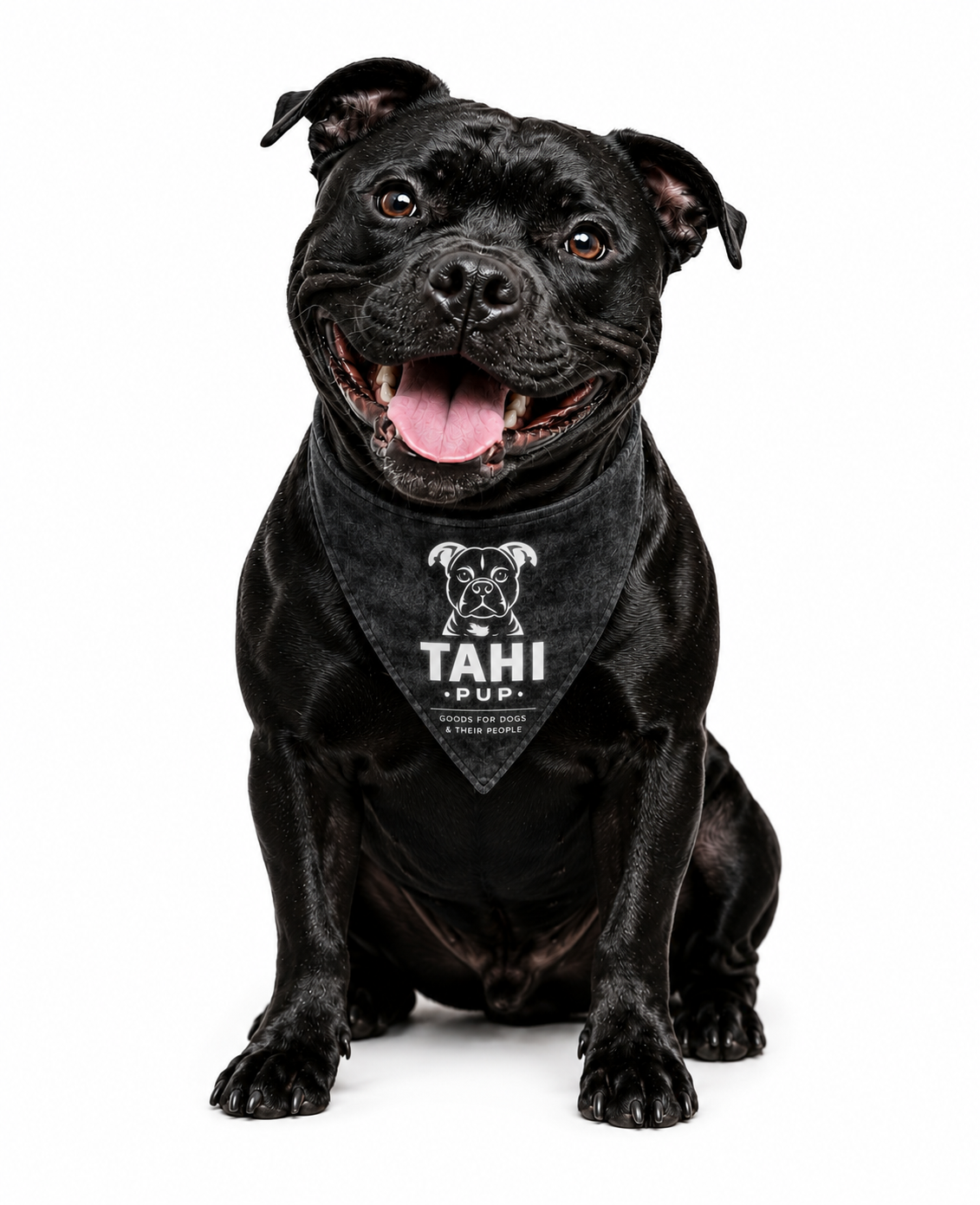 Tahi Pup Dog Bandana