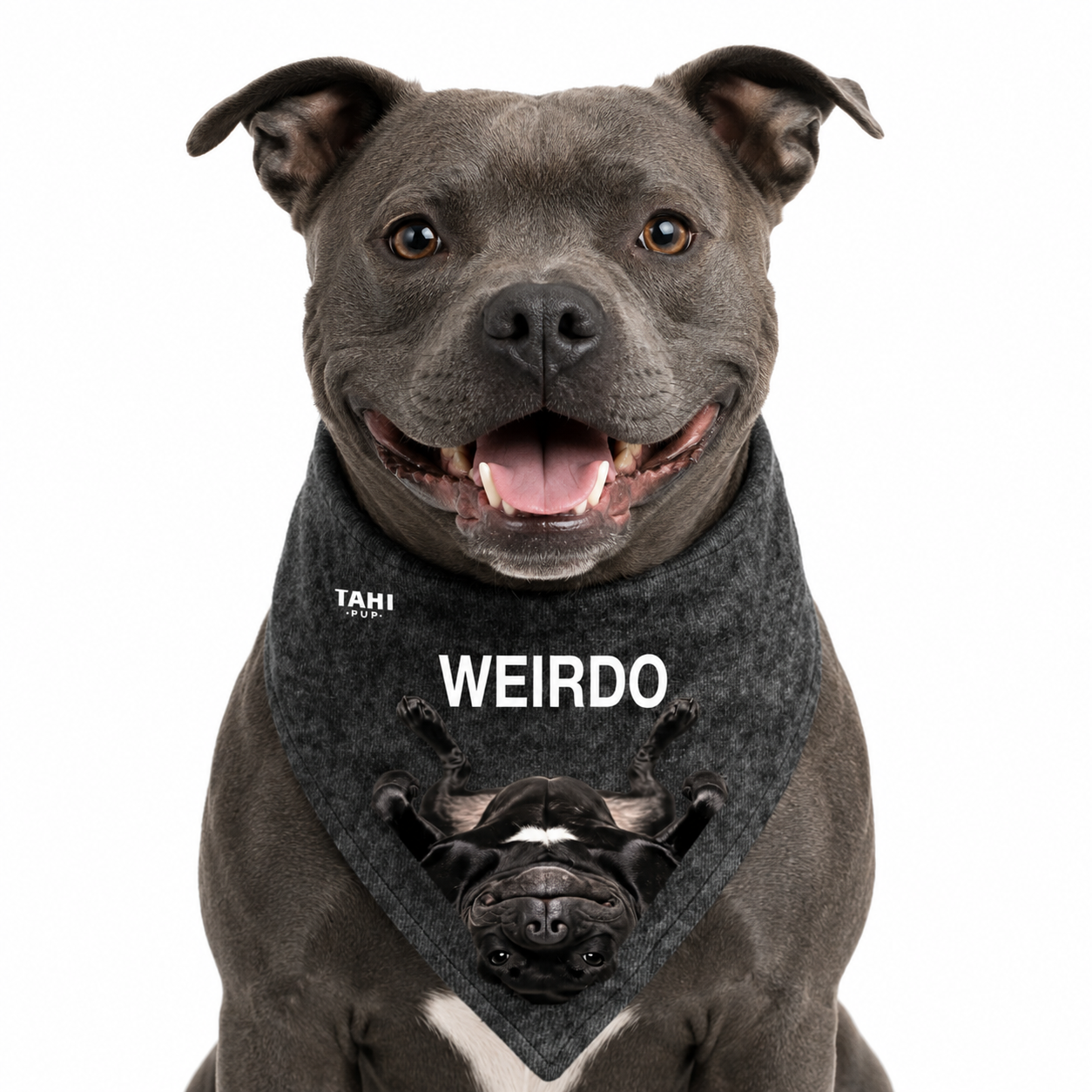 Weirdo Dog Bandana