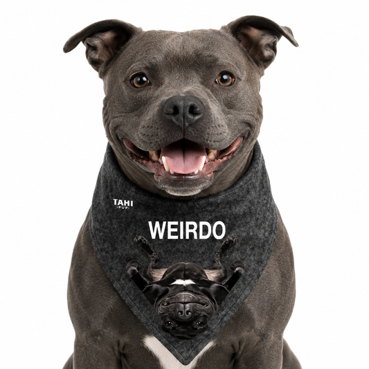 Weirdo Dog Bandana
